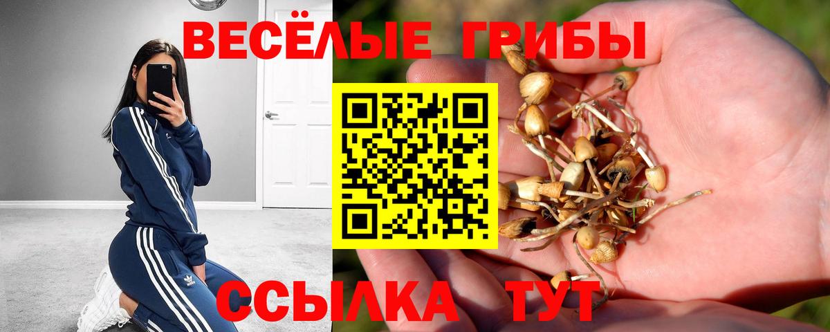 Павловский Посад  Галлюциногенные грибы MAGIC MUSHROOMS  Вход с VPN 